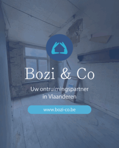 De bedrijfsnaam is bozi & co