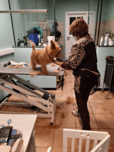 De bedrijfsnaam is Curls & Tails