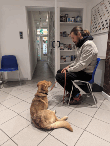 De bedrijfsnaam is dierenartsenpraktijk zorgvliet