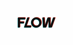 De bedrijfsnaam is Flow postproduction BE
