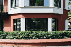 De bedrijfsnaam is magnolia studios