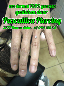 De bedrijfsnaam is pascallica