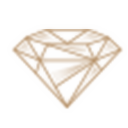 De bedrijfsnaam is precious jewels