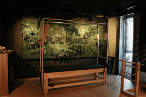 De bedrijfsnaam is pure pilates studio