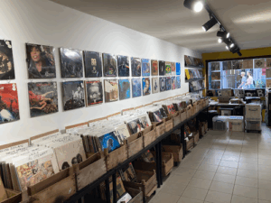 De bedrijfsnaam is The record collector