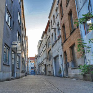 De bedrijfsnaam is universitas cursusdienst