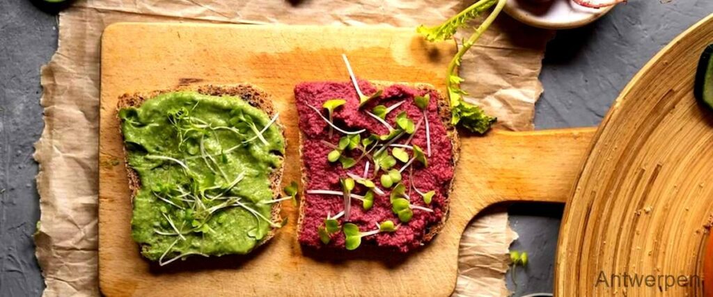 De 7 beste veganistische restaurants in Antwerpen