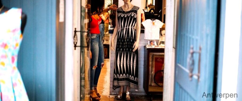 De 5 beste winkels voor vintage kleding in Antwerpen